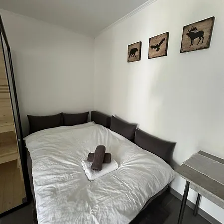 Apartment Mit Pool Und Sauna